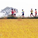 (주)평화지대 이미지