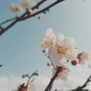 별똥별채집소
