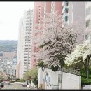 연제구-111 이미지