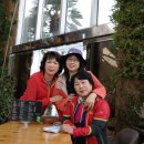 그린티하우스 이미지