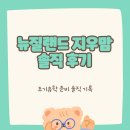 뉴질랜드 지우맘 · 유민컨설팅 솔직 후기, 막연했던 준비가 정리되기까지