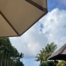 원투 관광 클럽 | W7. 발리 신혼여행 일기 2편