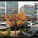 해와달동물병원 이미지