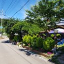 바다로가는길목 펜션 이미지