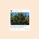 성산 마리나 호텔 | 제주 성산 3박 4일 여행 총정리 대한항공 + 성산 마리나 호텔 + 맛집 후기