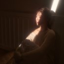 내생애봄날
