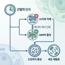 에이엠피케이 - 의왕시 안양판교로 103 | 에이엠피케이