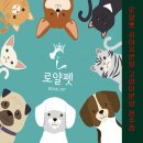 로얄펫 강아지분양 고양이분양 전주점 | 전주강아지분양 로얄펫에서 찾은 나의 소중한 가족