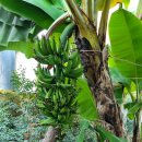 2층 제2소회의실 | 아이들이 오래 머물렀던 창녕 우포곤충나라 2층 체험 후기