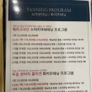 라에스테틱태닝