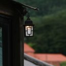 김광석 빛 길 이미지