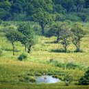 세계로환경 이미지