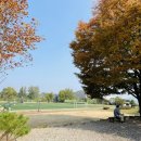 남사중학교(체육관) 이미지