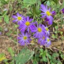 청하농장 이미지