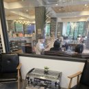 사기막골공원 | [성남사기막골] 카페 '테라코타' 내돈내산 방문후기