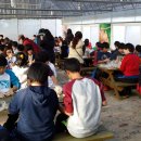 도안초등학교 이미지