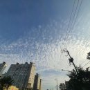 삼도선린의원 | 코로나 잔여백신 후기 1차 아스트라제네카 접종