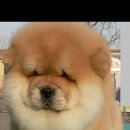 (주)본궁 이미지