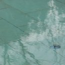 호근모루 이미지