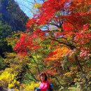 영원7주유소 이미지