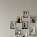 [사진관] 부천셀프사진관 예뻐서 봄🌸 촬영 후기