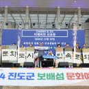 진도군 보배섬 문화예술제 이미지