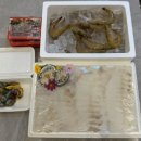 진짜일등수산 이미지