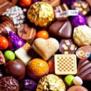 한가람동물의료센터 이미지