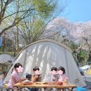 은하수캠핑관광농원 이미지