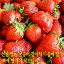 잠언 16장 24절 (선한 말) 이미지