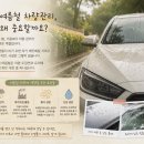빛나라세차장 | 여름철 차량관리 왜 중요할까요? 벌레사체·산성비·유막까지 여름철 자동차 관리 방법 총정리