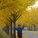 신라의 달밤 이미지