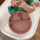 오아시스장 | 오아시스 후기이유식 추천템 오아시스추천인 ph0403