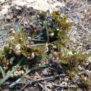 하늘땅바람 이미지