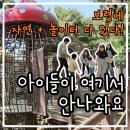 [주말나들이] 보령 옥마산 올레길 아이와 가볼만할까? : 숲놀이터 황톳길 가족 나들이 후기