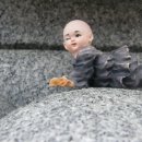 원효유치원 이미지