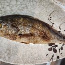 동백A(1차) 이미지