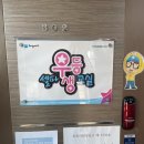 셀파미장초교실