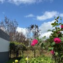 아리역로76번길 이미지