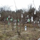 덕화농장1 이미지