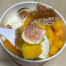 내돈내산 안산 한대앞역 요아정(요거트아이스크림의정석) 포장 후기