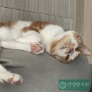 인영한의원 이미지