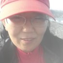 감포시장 이미지