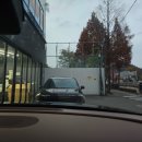 에이엠모터스(AM MOTORS) | 부천 아이오닉9 글라스틴트 산타나 프리미엄 시공｜전면32·측면12/06·후면06 몰입감 끝판왕