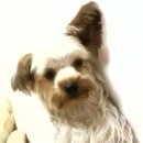 부흥초등학교 이미지