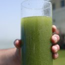 비바라떼 이미지