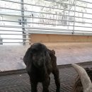 조산농장 이미지