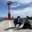 제주도 자유여행 5박6일 후기