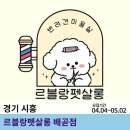 르블랑펫살롱 이미지