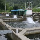 어라연송어횟집 이미지